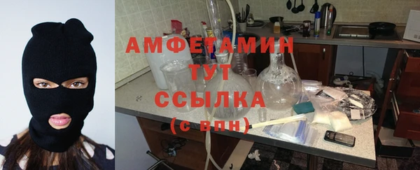 гидра Богданович