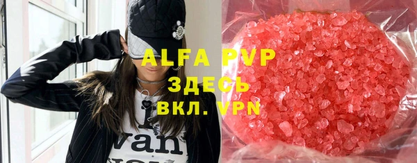 гидра Богданович