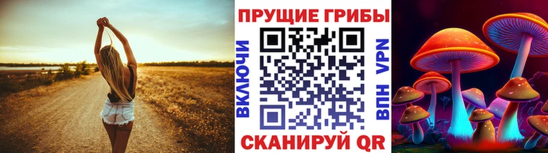 Псилоцибиновые грибы MAGIC MUSHROOMS  где продают наркотики  Новотроицк 